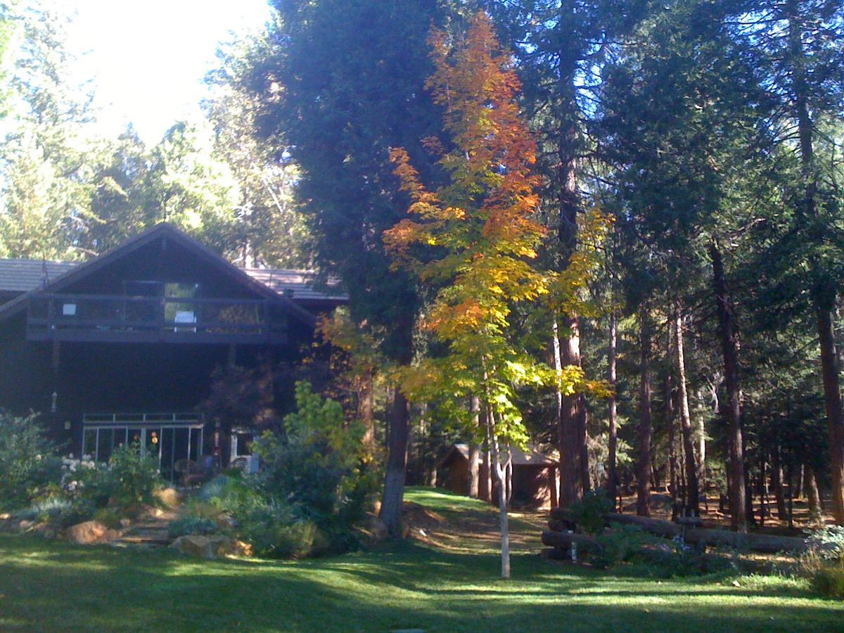 Harmony Ridge Lodge Невада-Сити Экстерьер фото