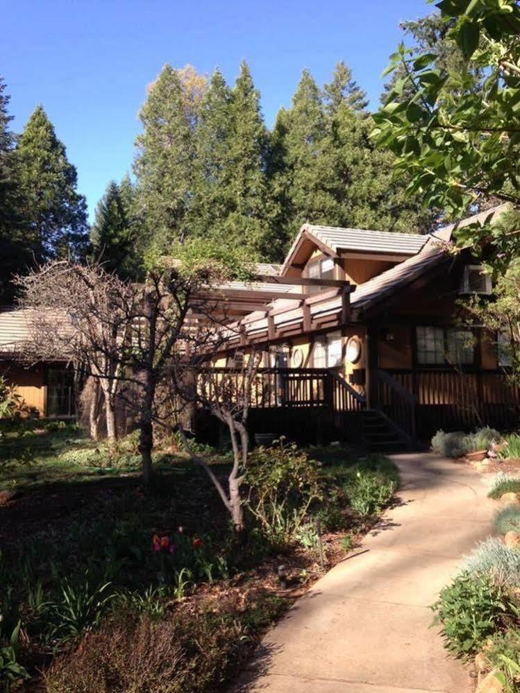 Harmony Ridge Lodge Невада-Сити Экстерьер фото